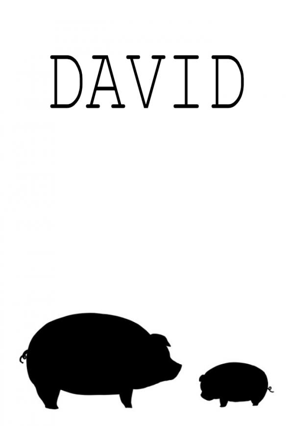 DAVID