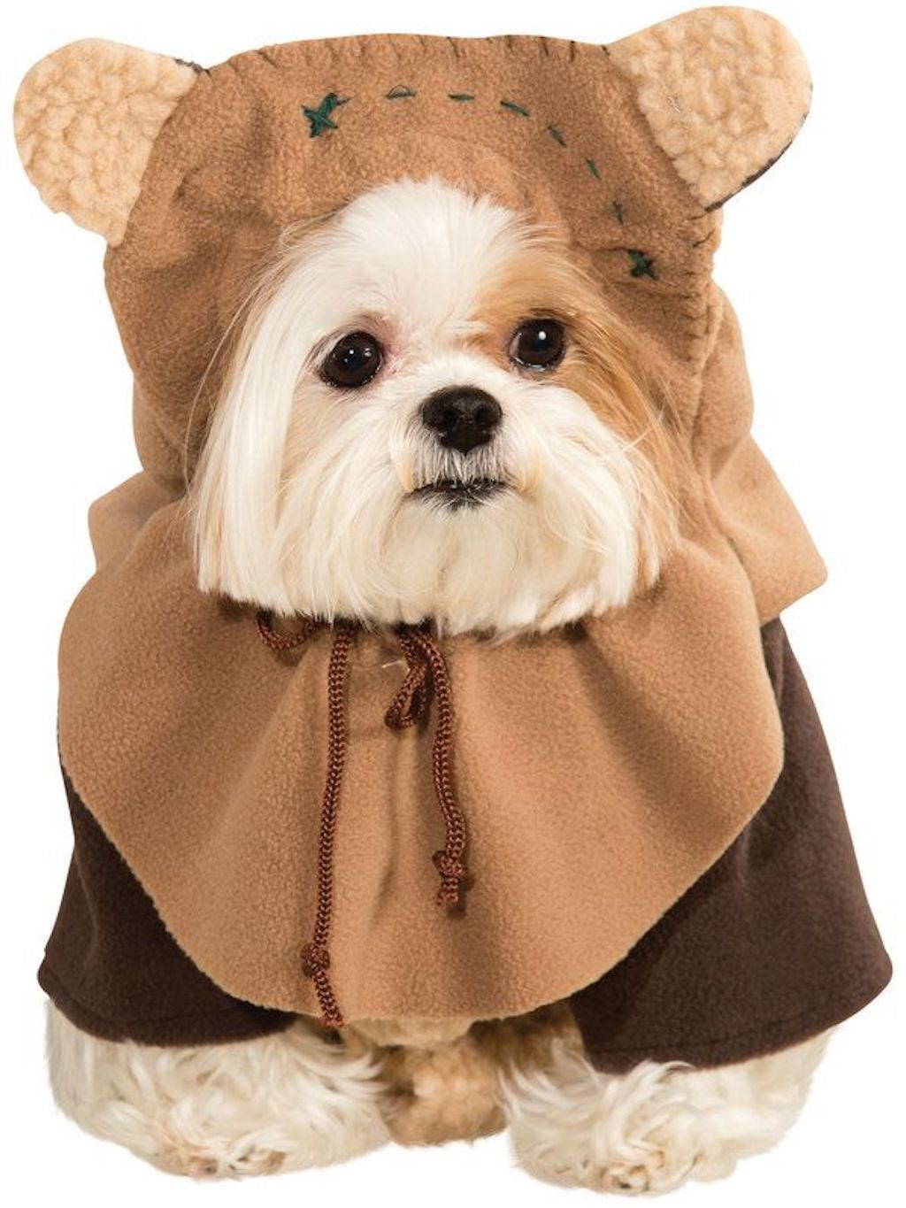 ewok dog