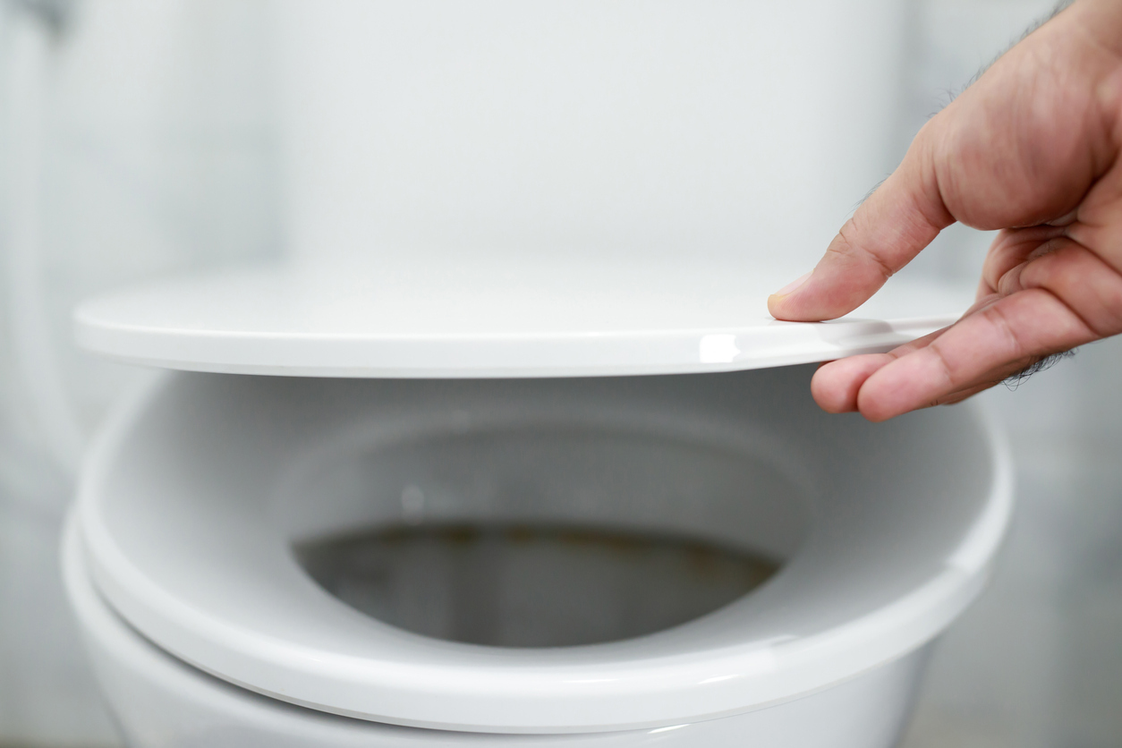 Person's hand opening toilet lid. 