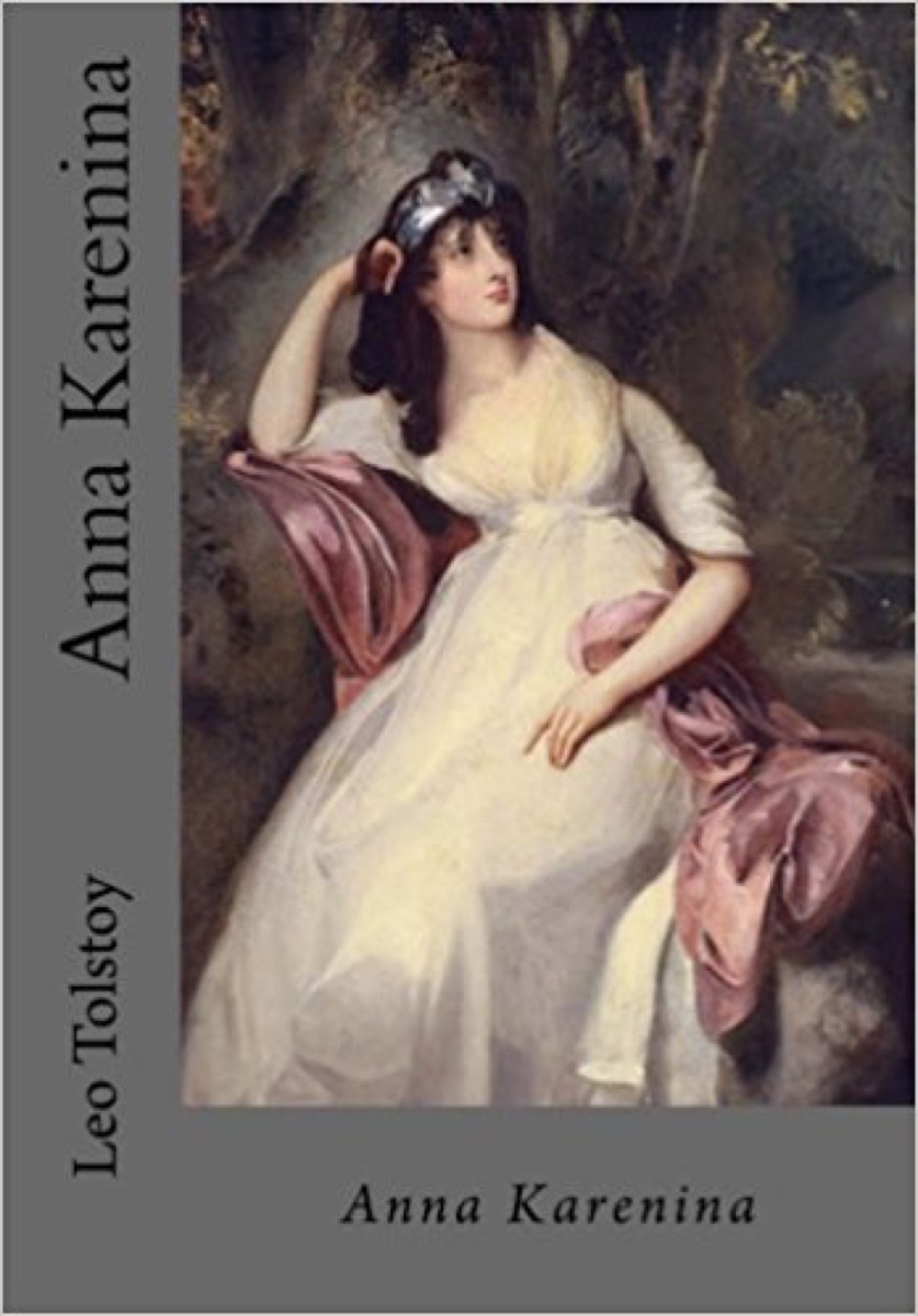 anna karenina 40 books you'll love