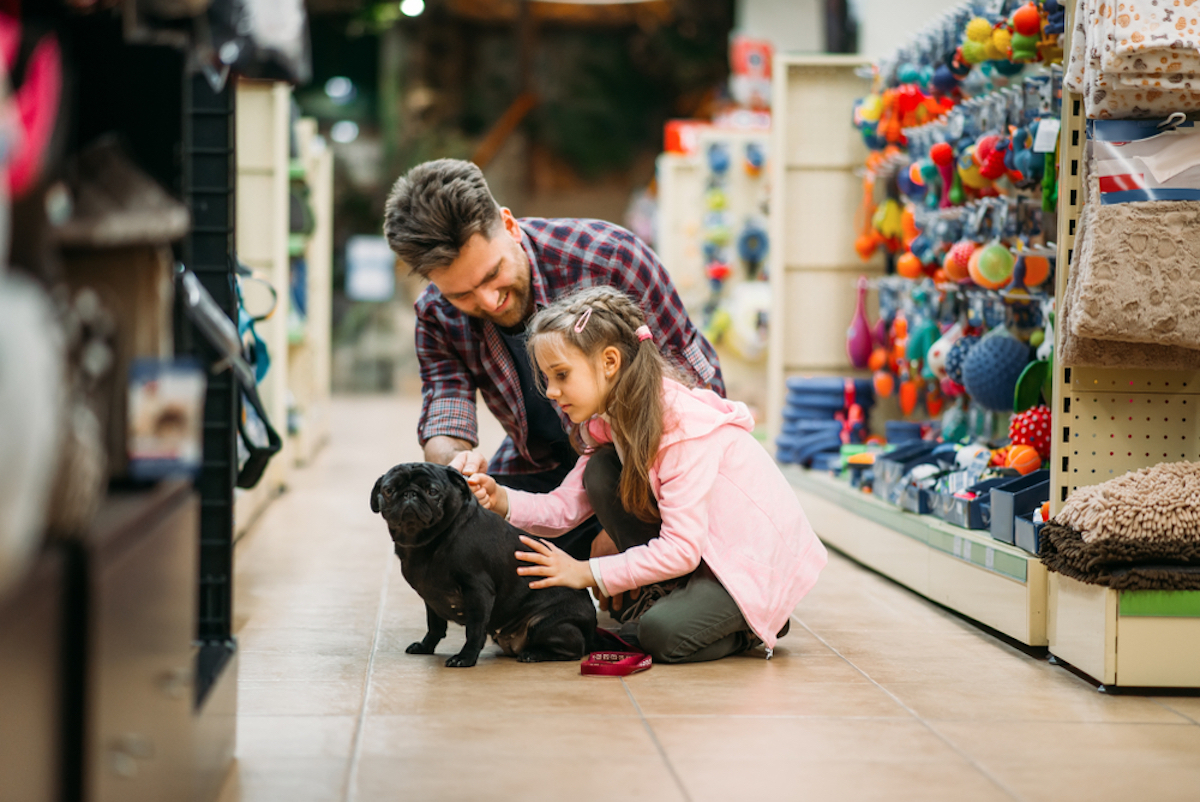 Kid petting puppy in pet store