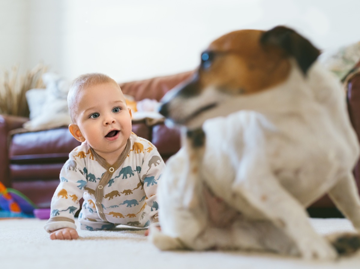 Baby following his dog