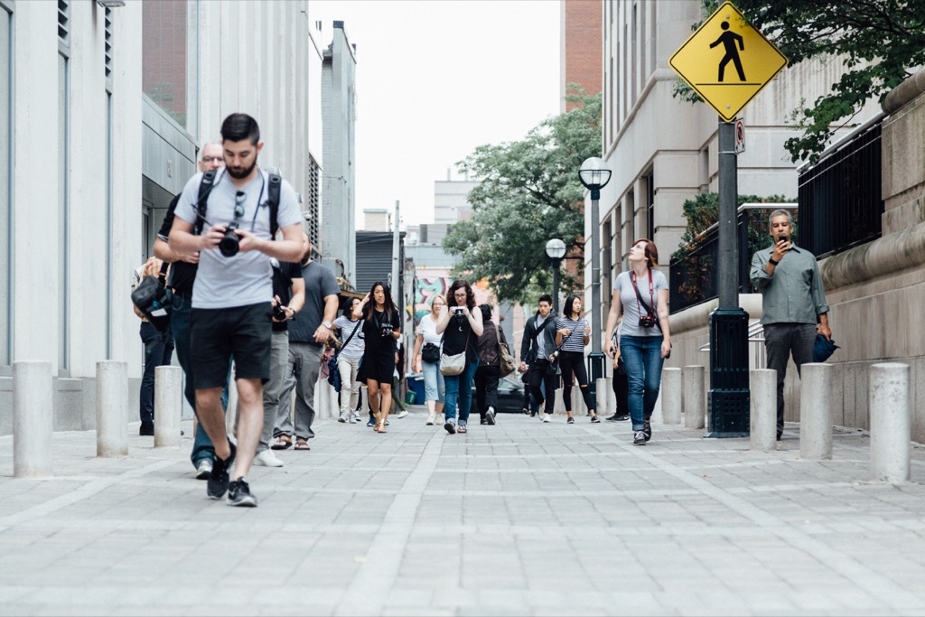 People walking on the sidewalk in the city - cat puns