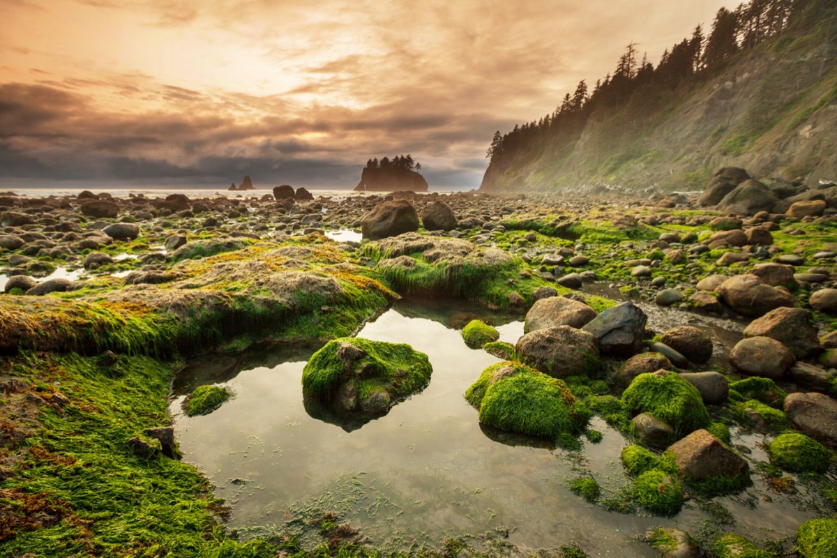 views at olympic national park