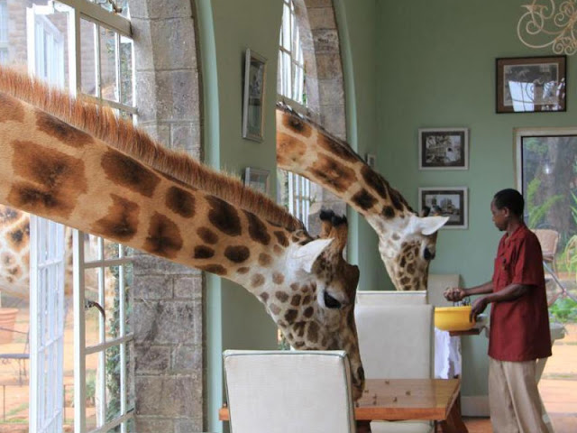 2) Giraffe Manor, Kenya 3