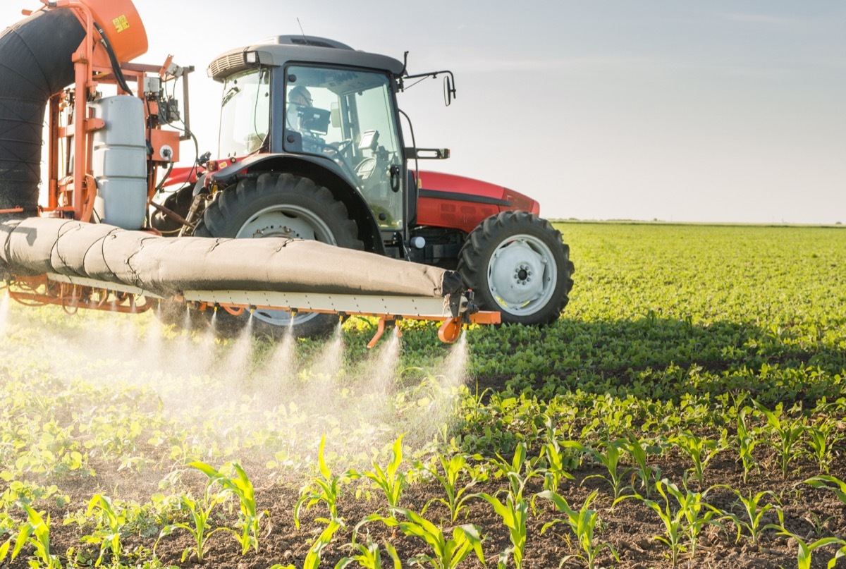 Spraying farm with pesticides