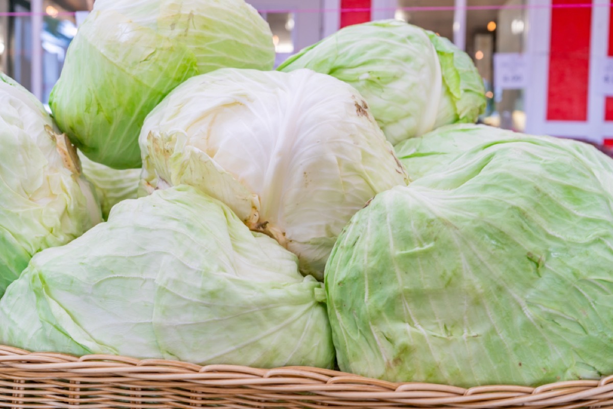 pile of iceberg lettuce