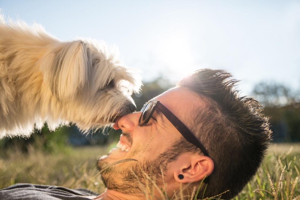 dogs noses are a lot more sensitive than humans things you never knew dogs could do