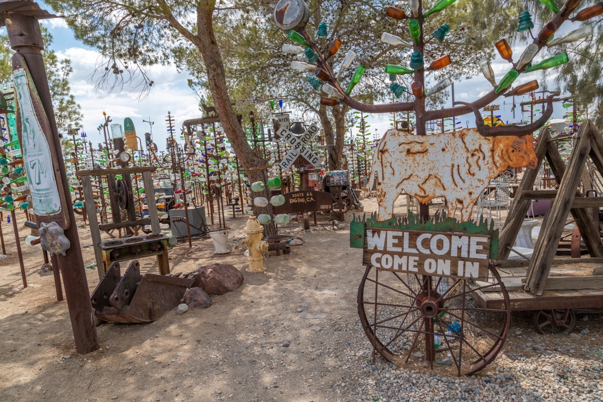 Elmer's Bottle Tree Ranch