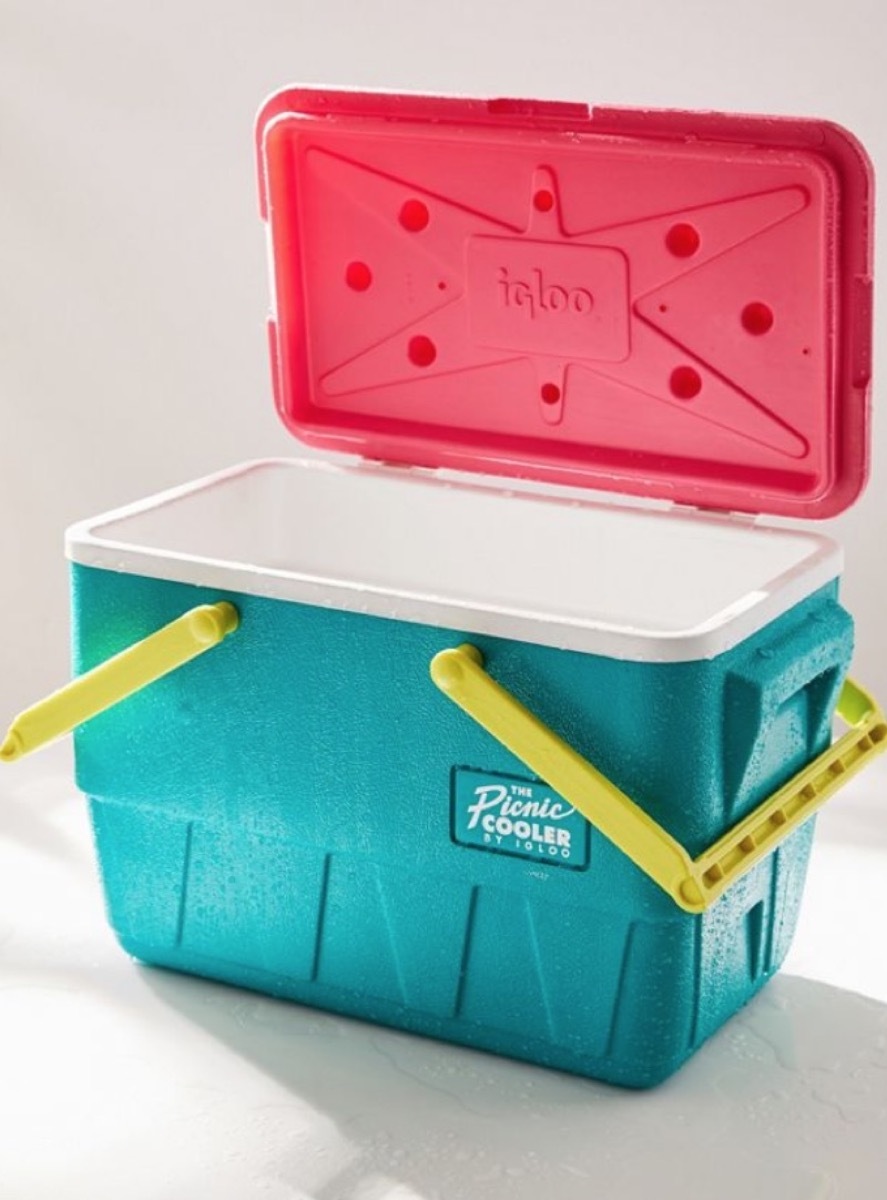 neon picnic cooler, picnic essentials