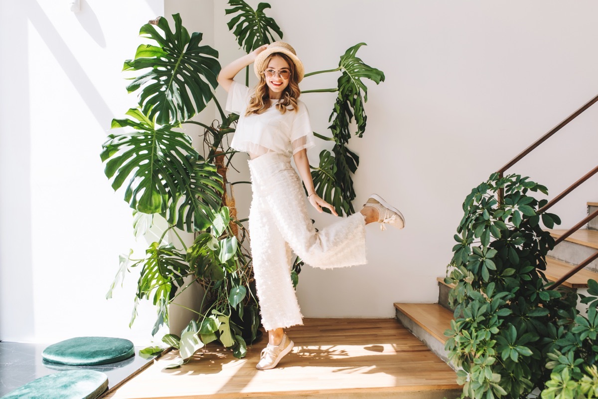 Indoor plants on stairs