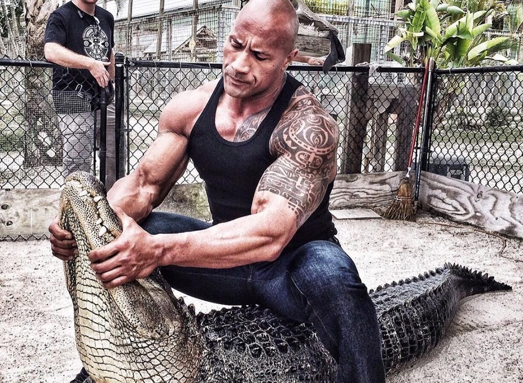 The Rock 