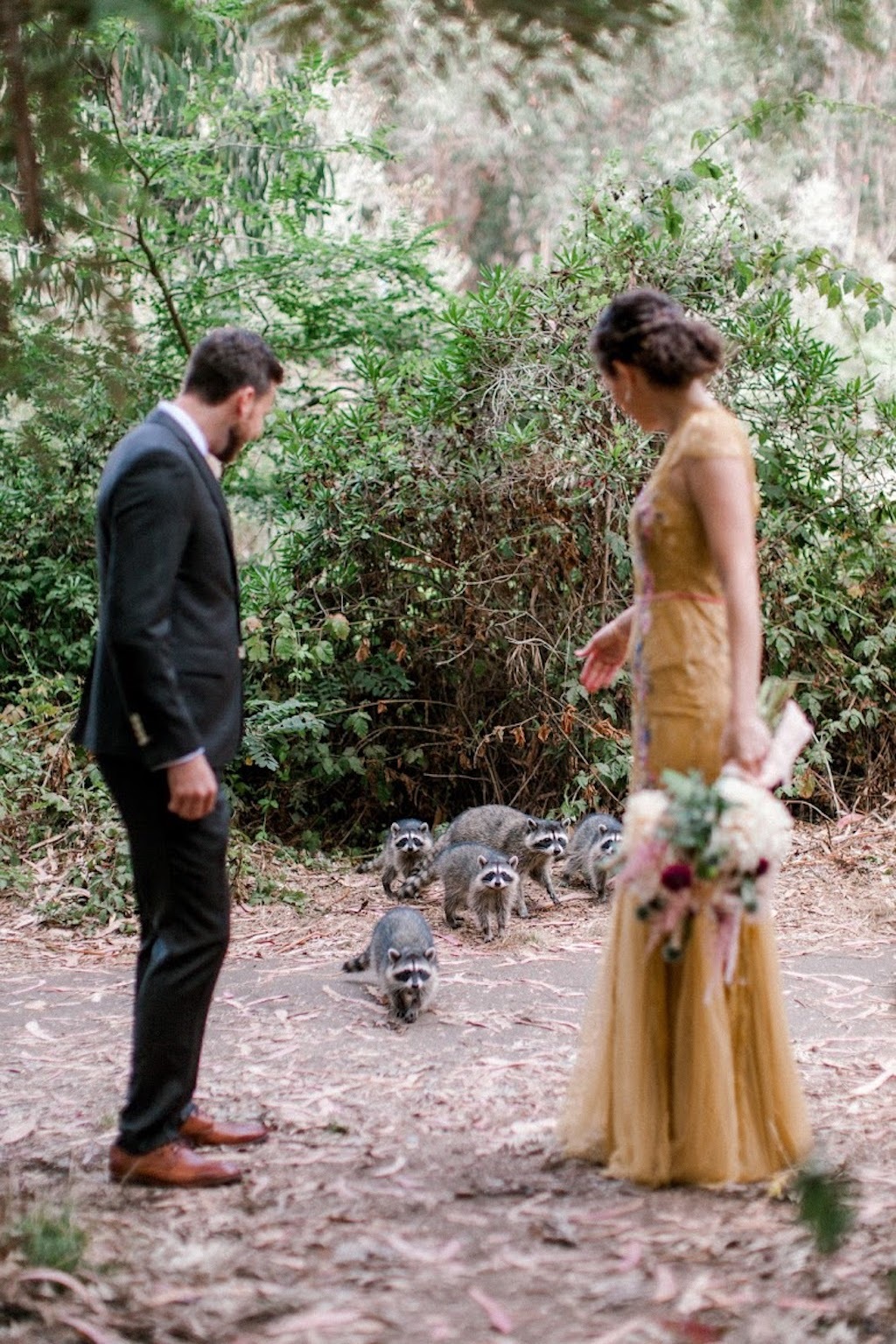 wedding photos raccoon photobomb