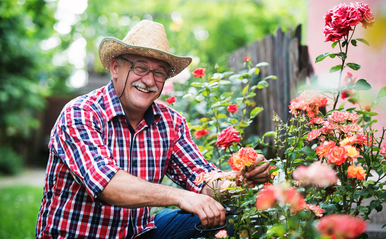 Gardening. Man working in the garden. Hobbies and leisure