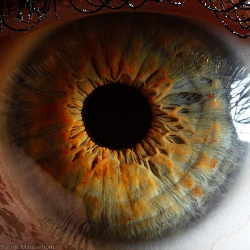 extreme-closeups-of-human-eyes-are-creepy-but-stunning-10