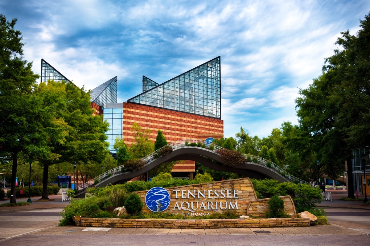 Tennessee Aquarium