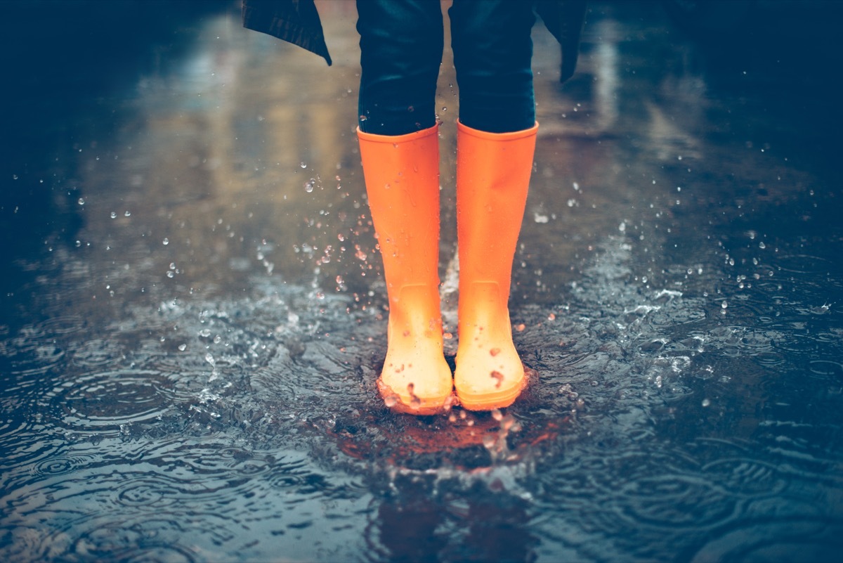 rain boots in a puddle- hurricane facts 