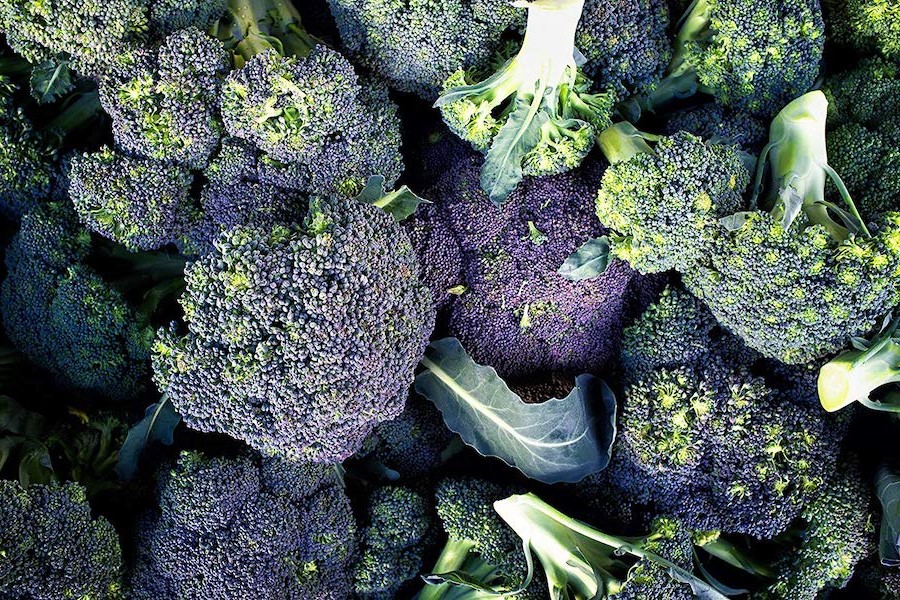 Broccoli | 10 Foods With Almost Zero Calories | Her Beauty