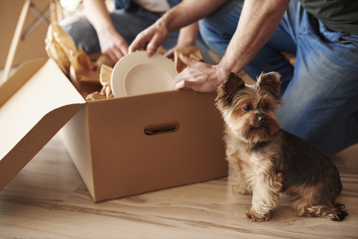 putting plates in cardboard box