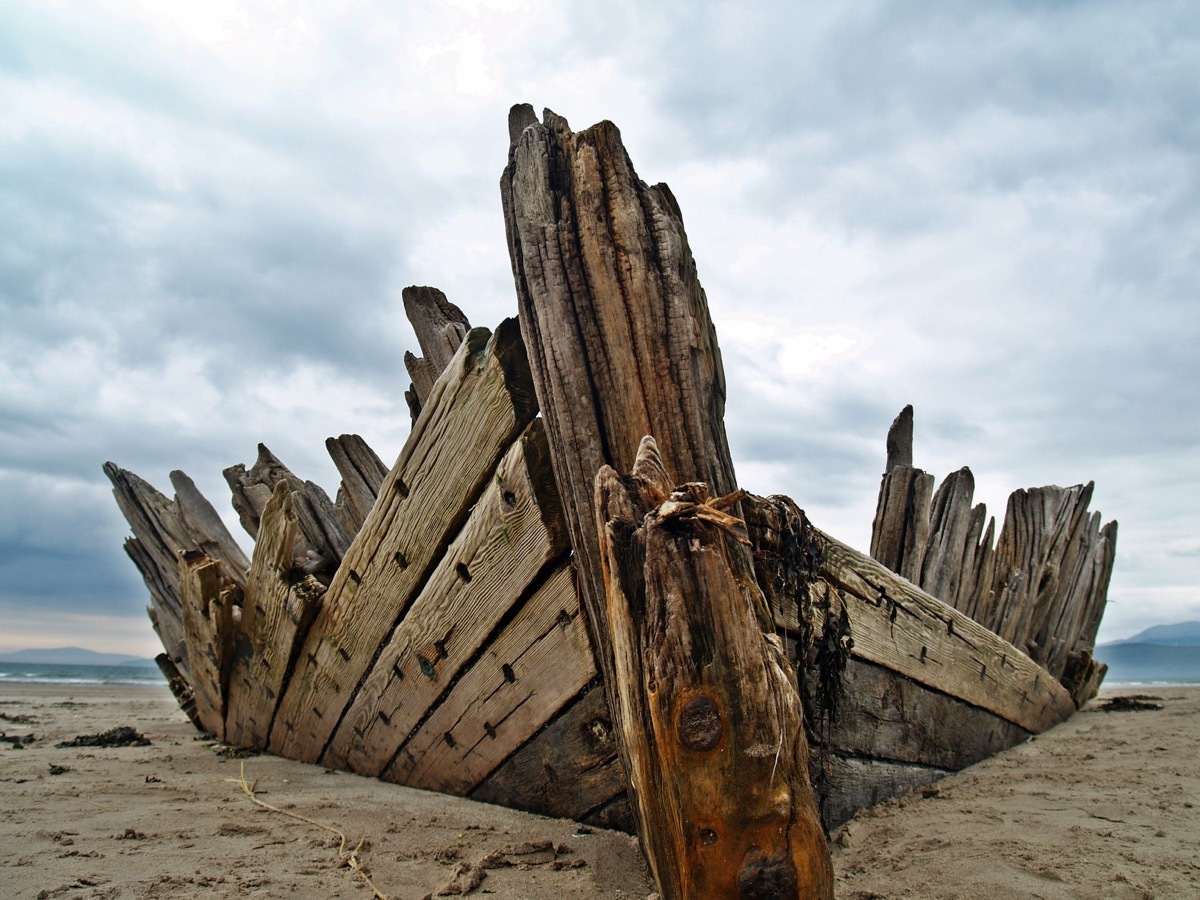 shipwreck on beach 