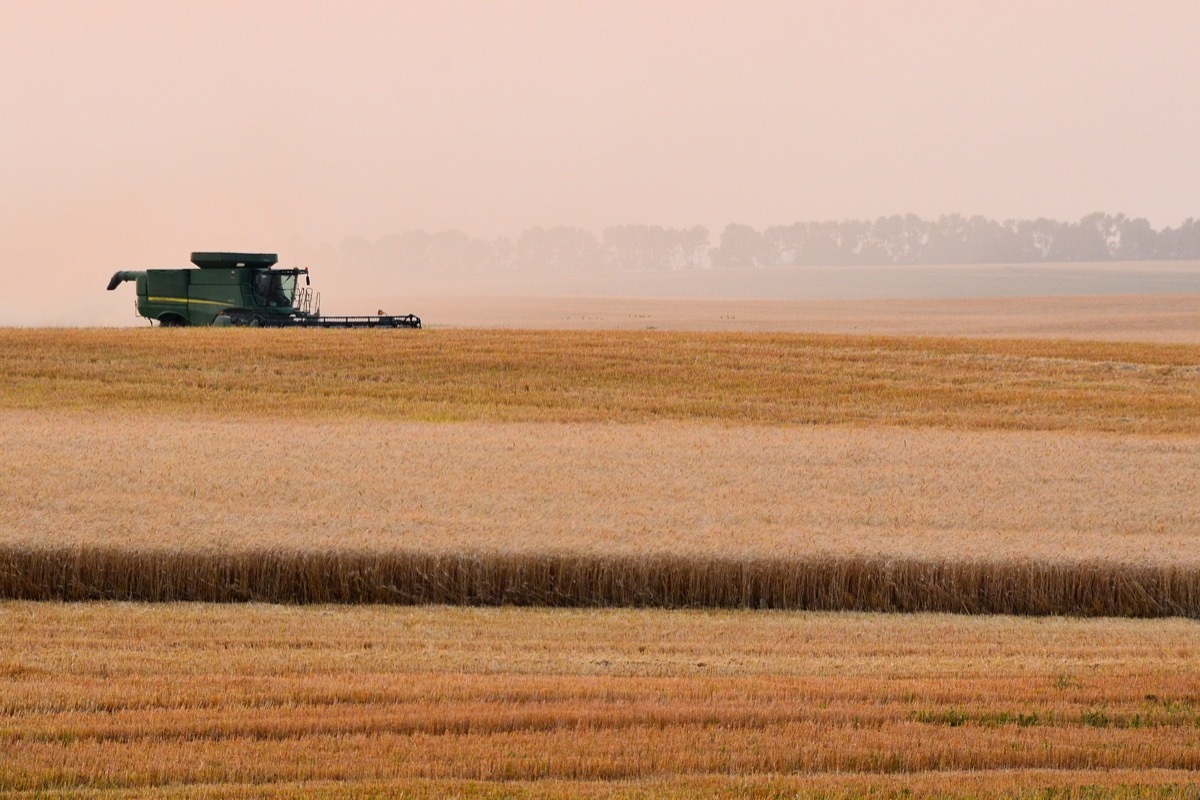 Rural Mercer County area, which is near Beulah, North Dakota