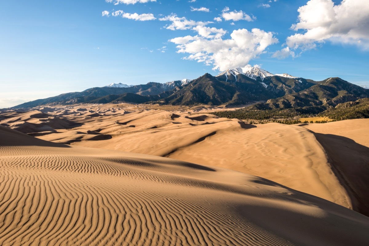 Sunset view of sand waves at the top of Great Sand Dunes, Great Sand Dunes National Park