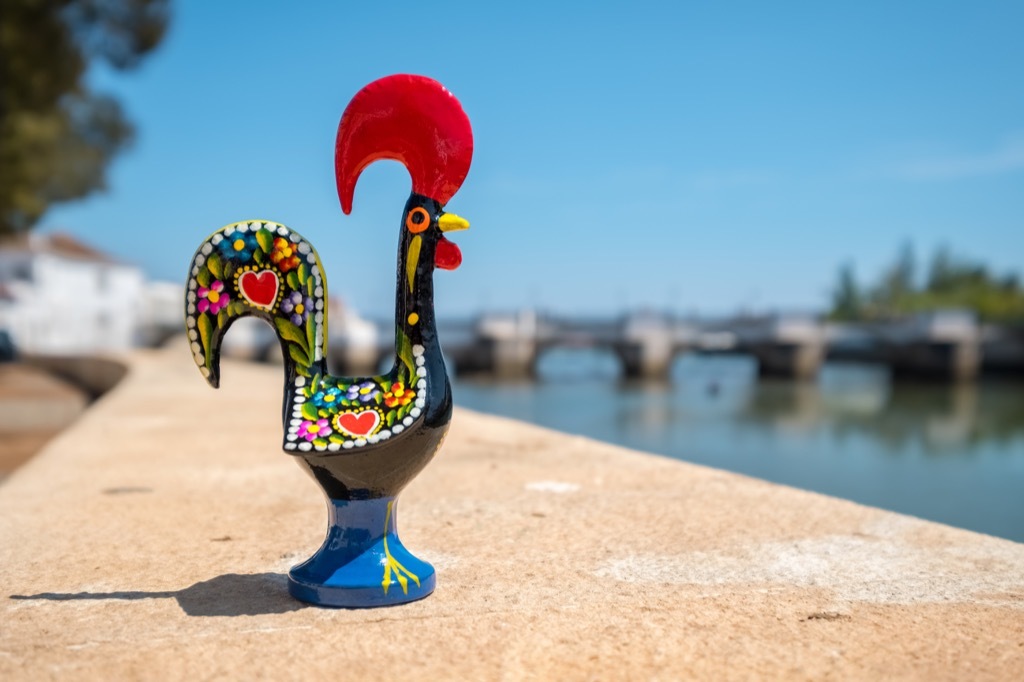 Portugal rooster