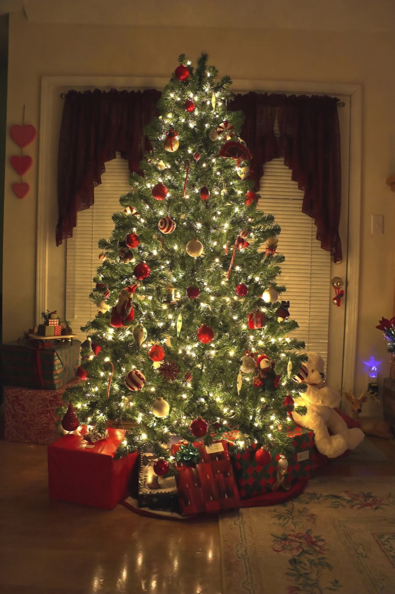 christmas tree in the middle of a room