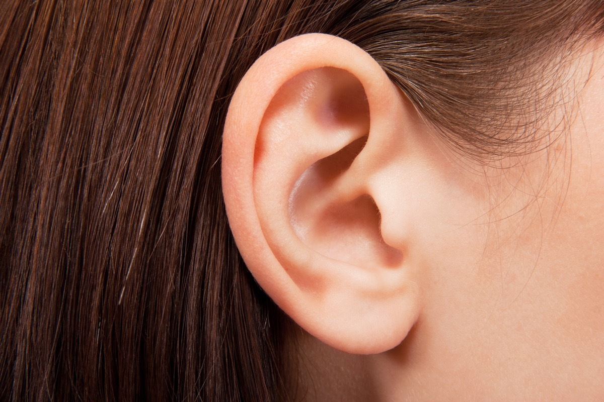 human ear closeup