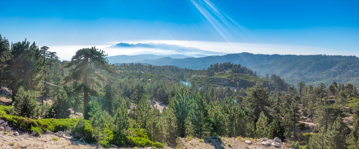 San Bernadino Mountains