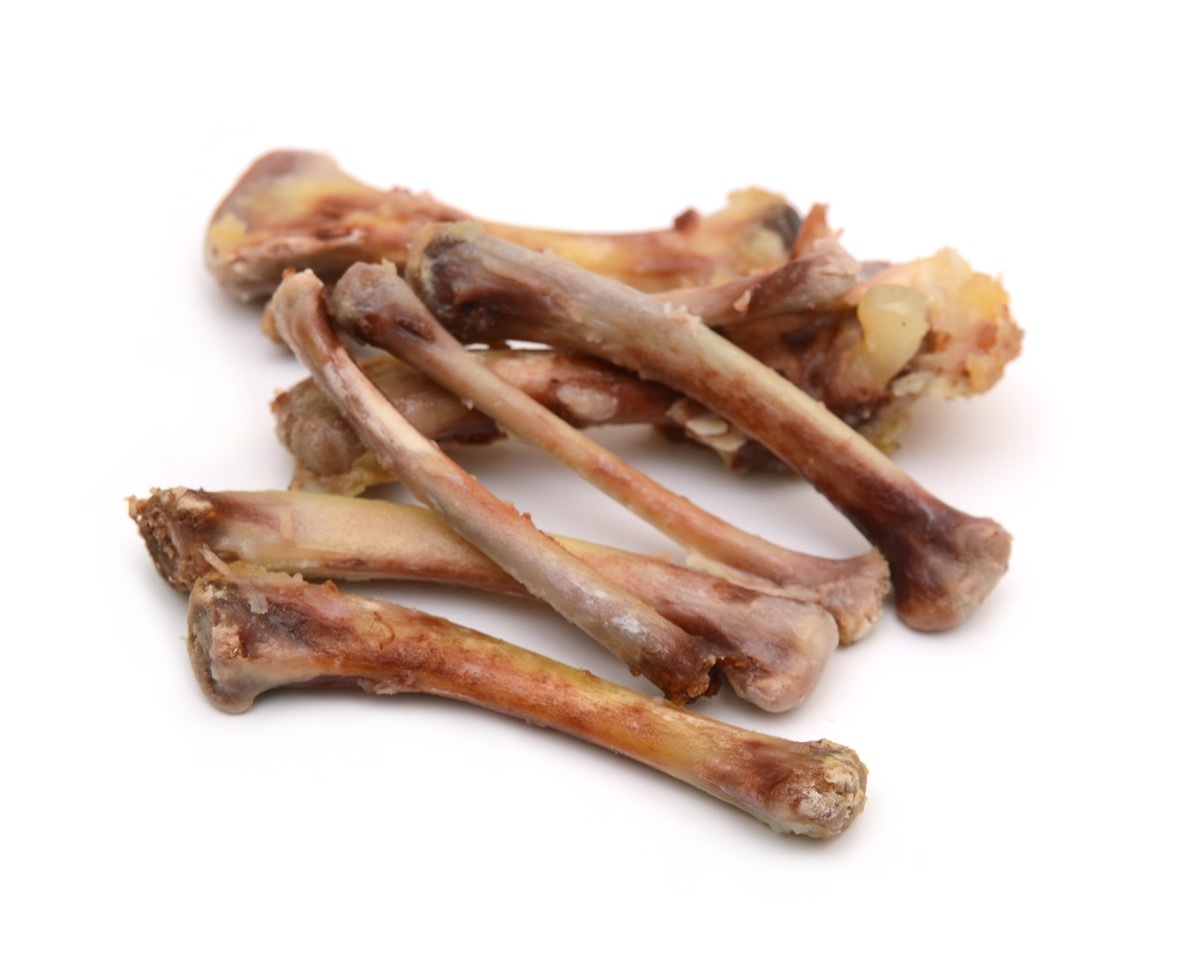 Cooked Chicken Bones Foods Bad for Dogs