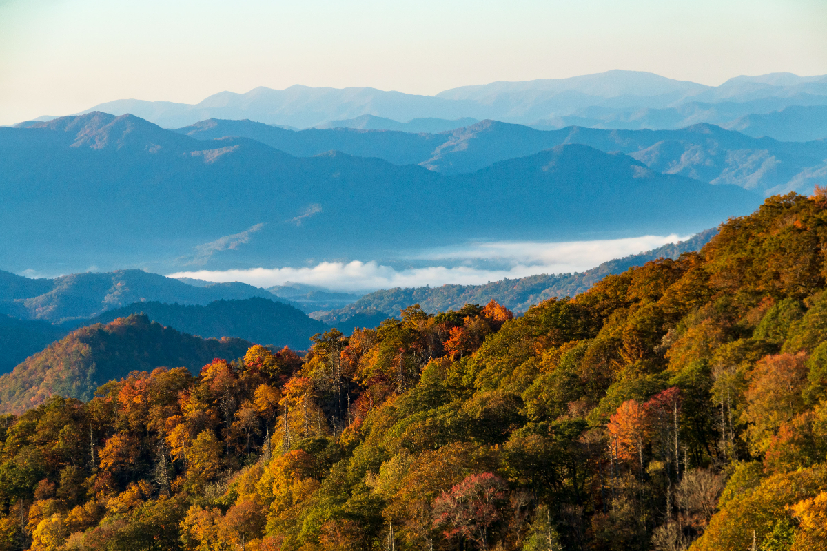 Clingmans Dome, Smoky Mountains, Tennessee