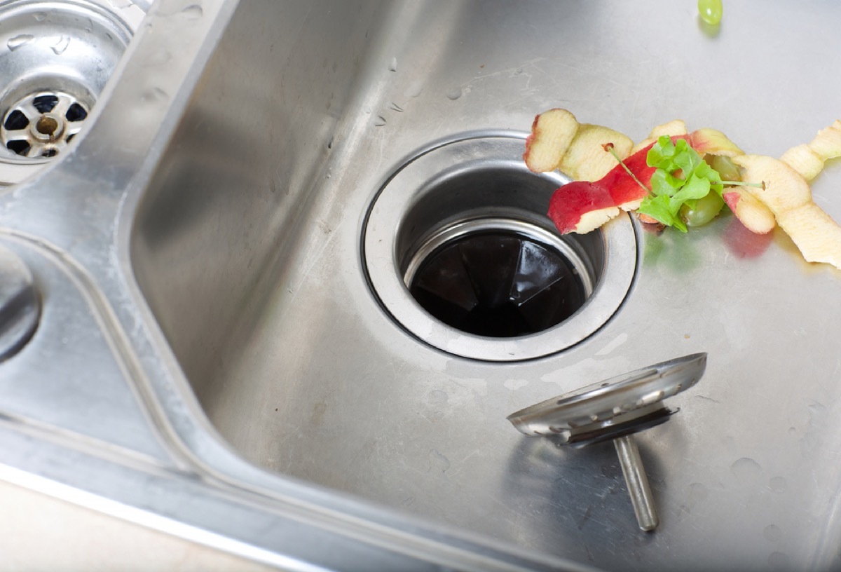 garbage disposal with food scraps