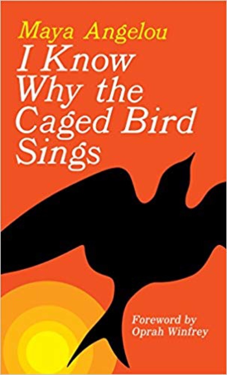 i know why the caged bird sings 40 books you'll love