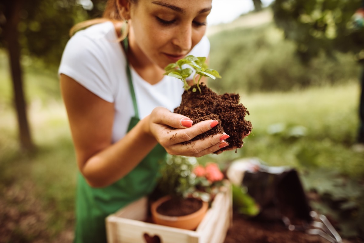 woman taking care of the plant