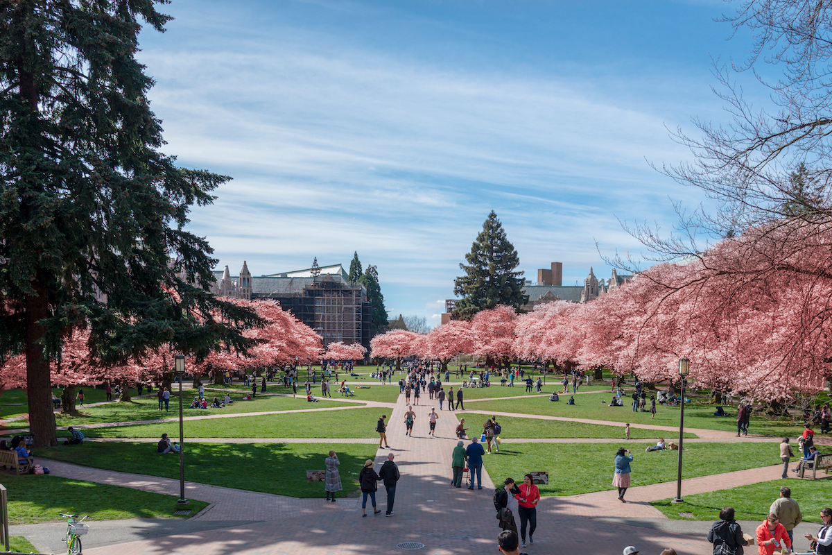 University of Washington, Seattle