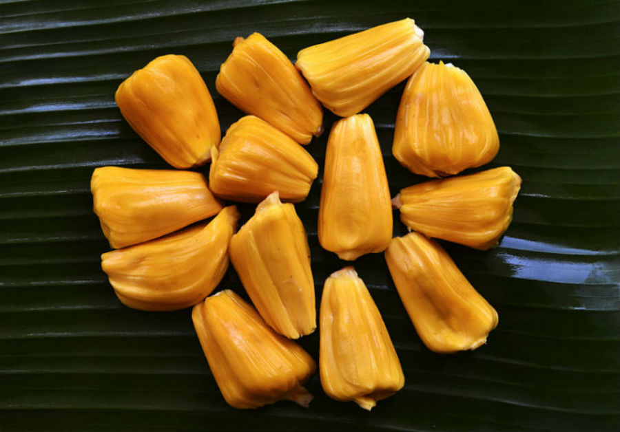 Jackfruit is a real nutritional wonder   | 9 Facts You Need To Know About The Lip-Smacking Jackfruit | Her Beauty