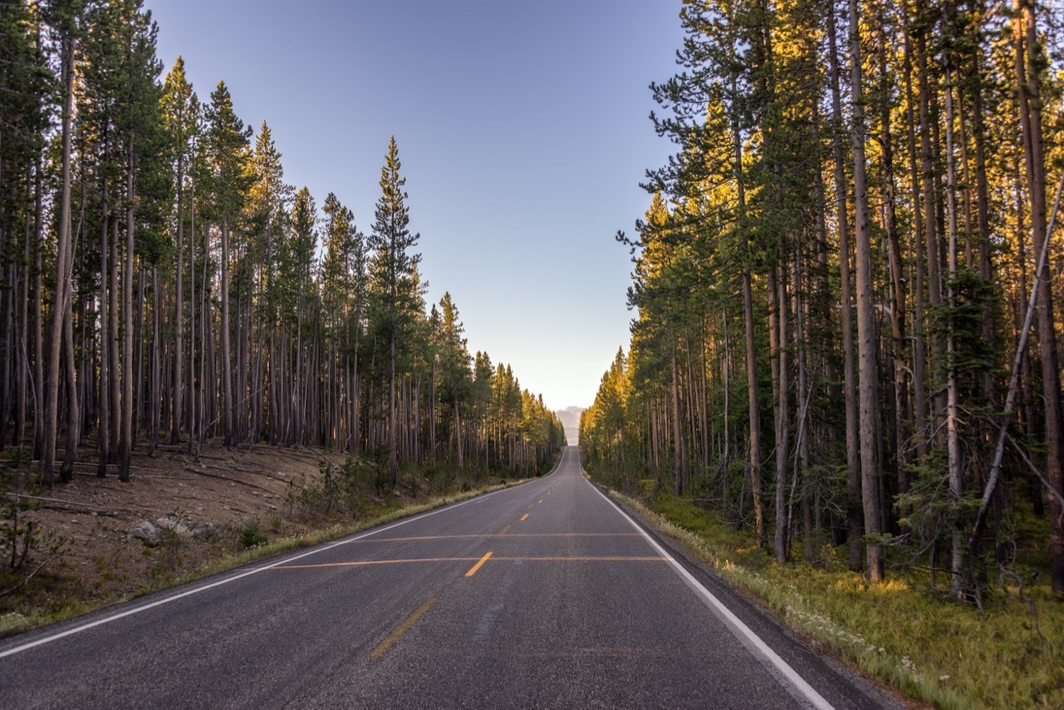 South Entrance into Yellowstone National Park