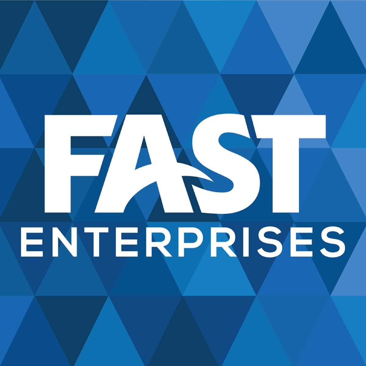 fast enterprises logo, companies in each state