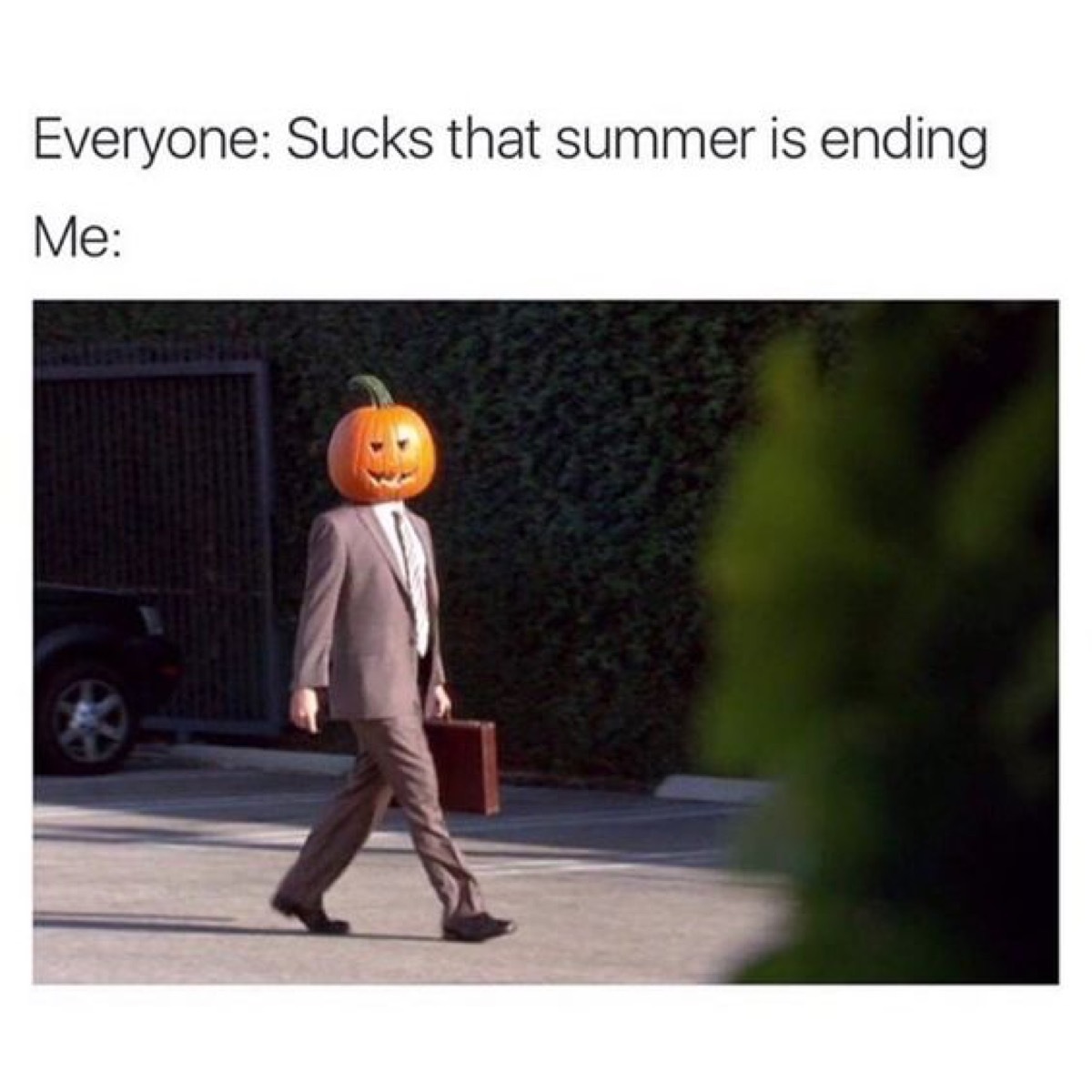 fall memes