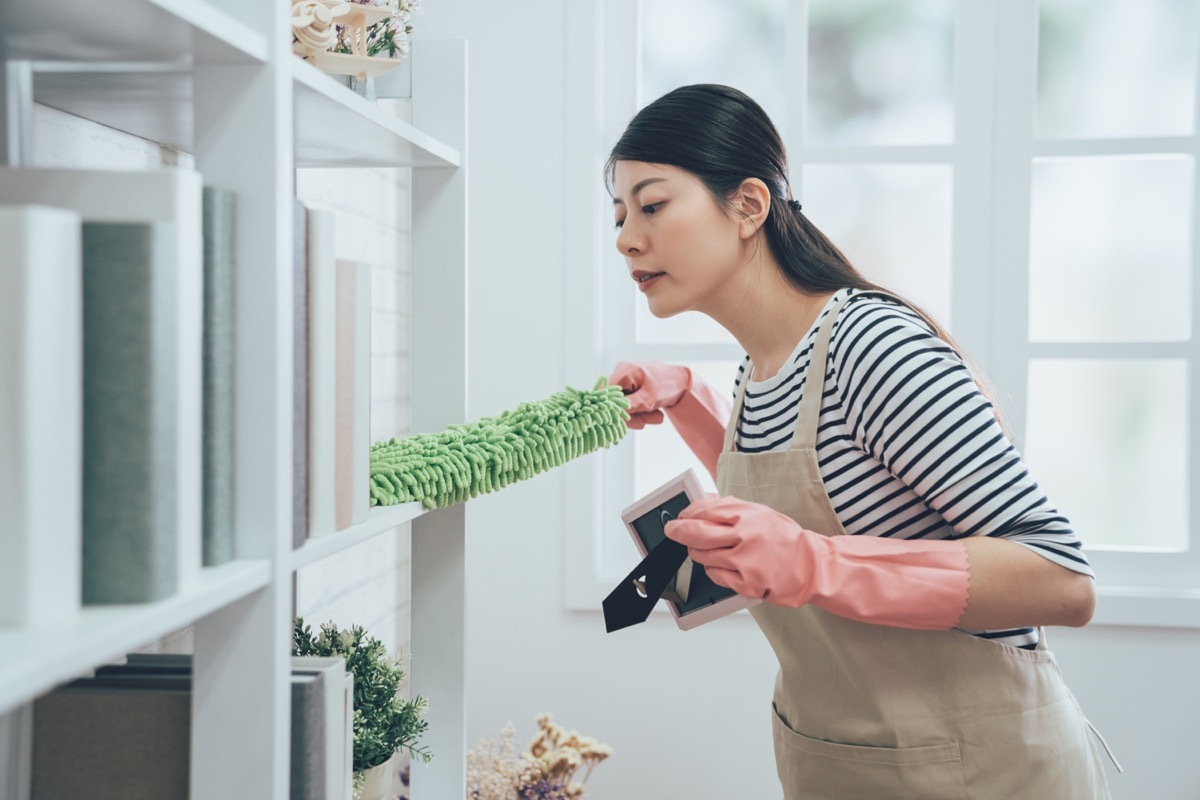 housekeeper in apron dusting the bookshelf by feather duster taking up the picture frame carefully cleaning in living room at home. young wife in rubber gloves doing housework.