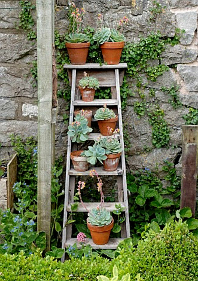 space-saving-garden-hacks-for-small-spaces-that-are-charming-and-inventive-07