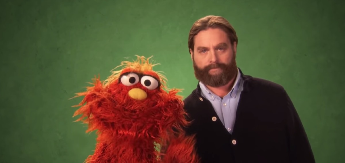 zack galifianakis on sesame street