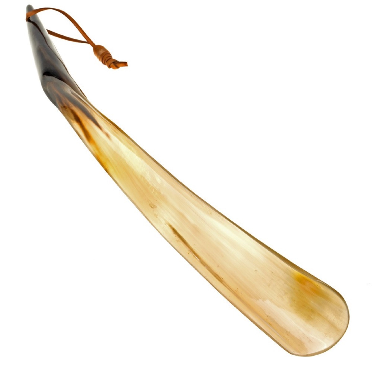 yellow and white bull horn shoe horn