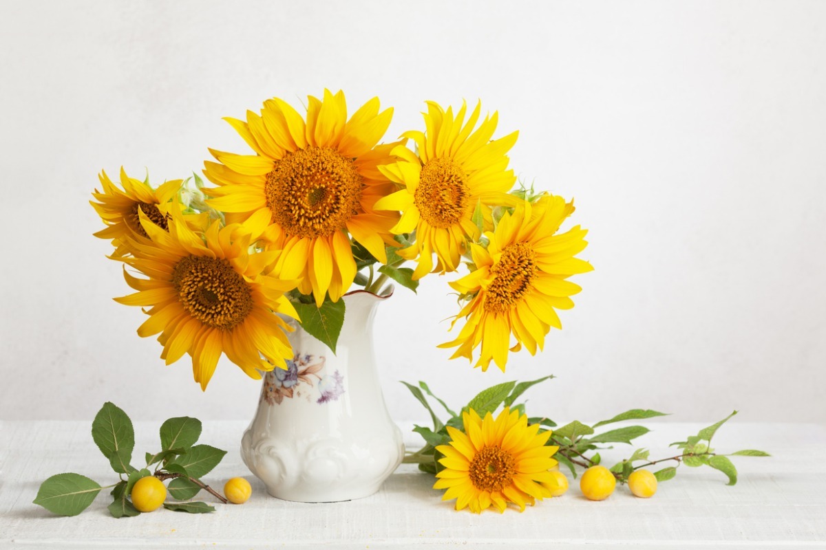 bouquet of sunflowers