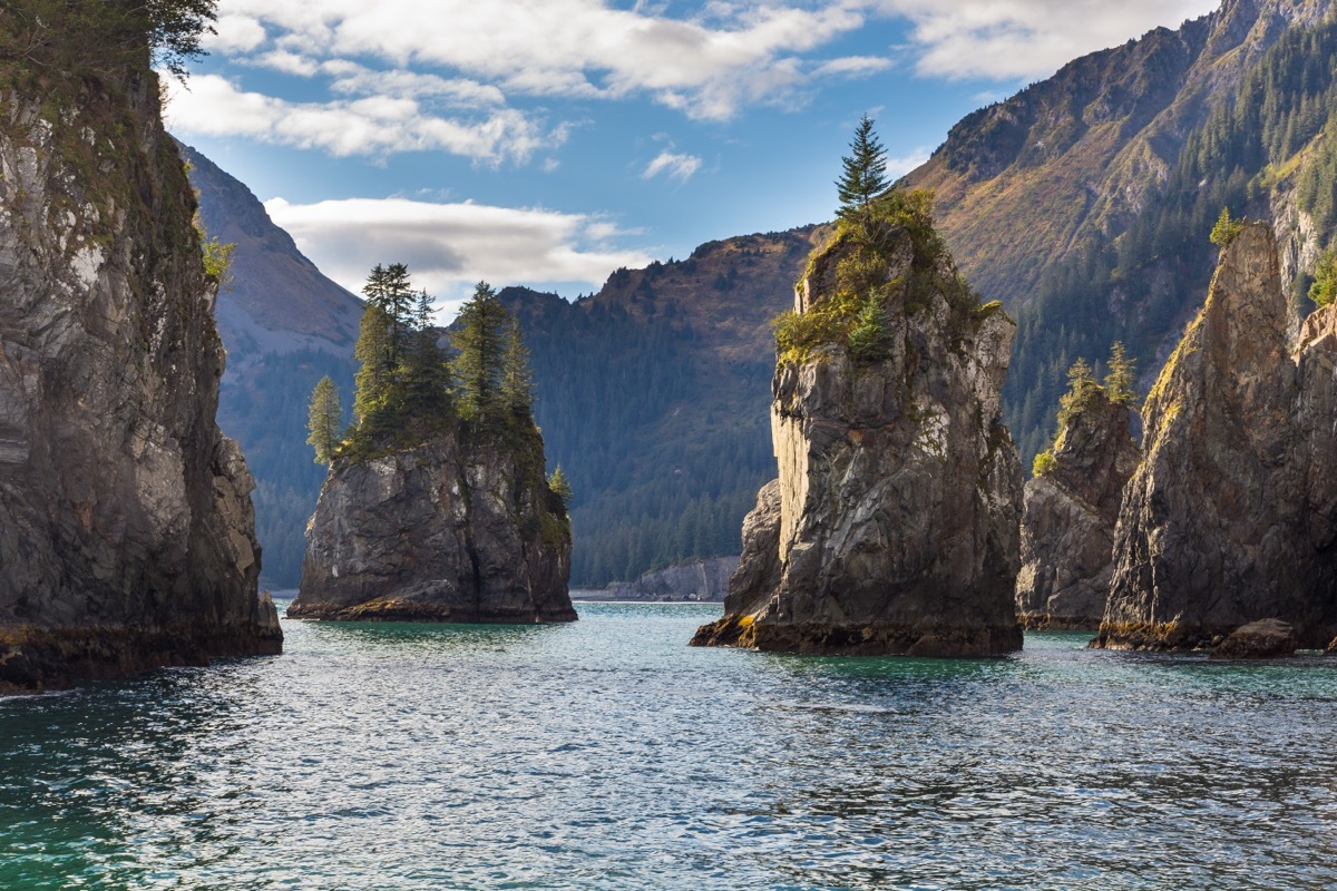 Kenai Fjords National Park