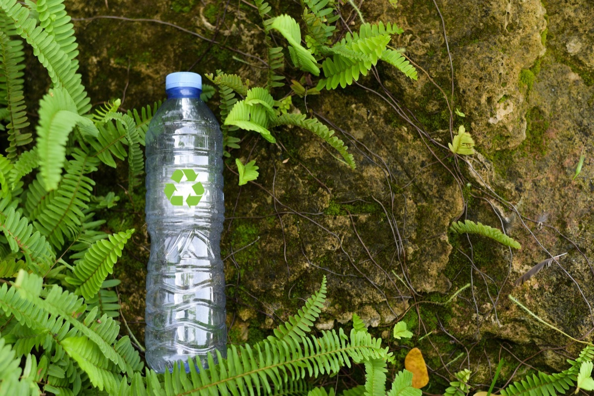 Woman holding plastic bottle with green tree background.Recycle concept for save the environment