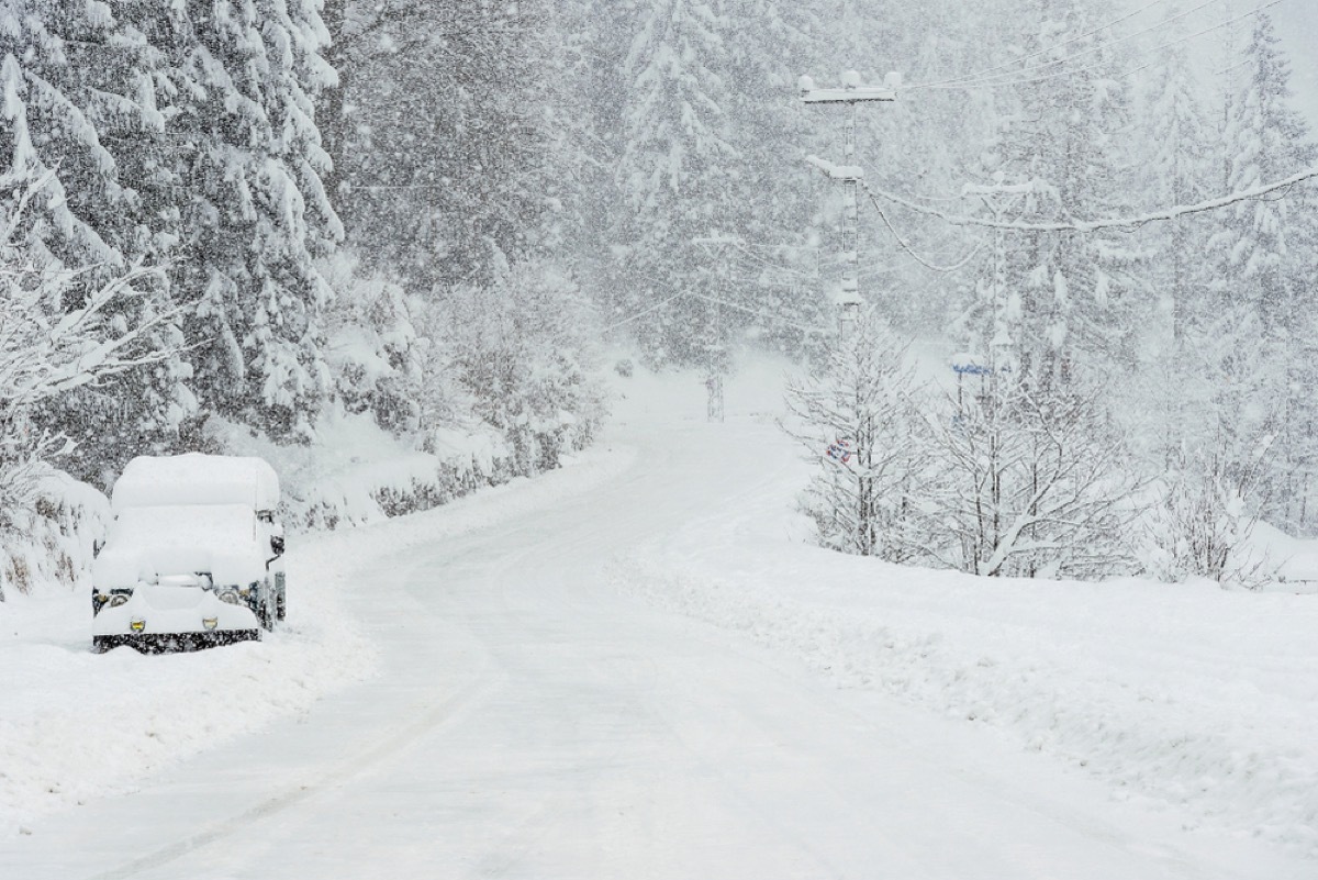 snow covers street, trees, and single car on open road