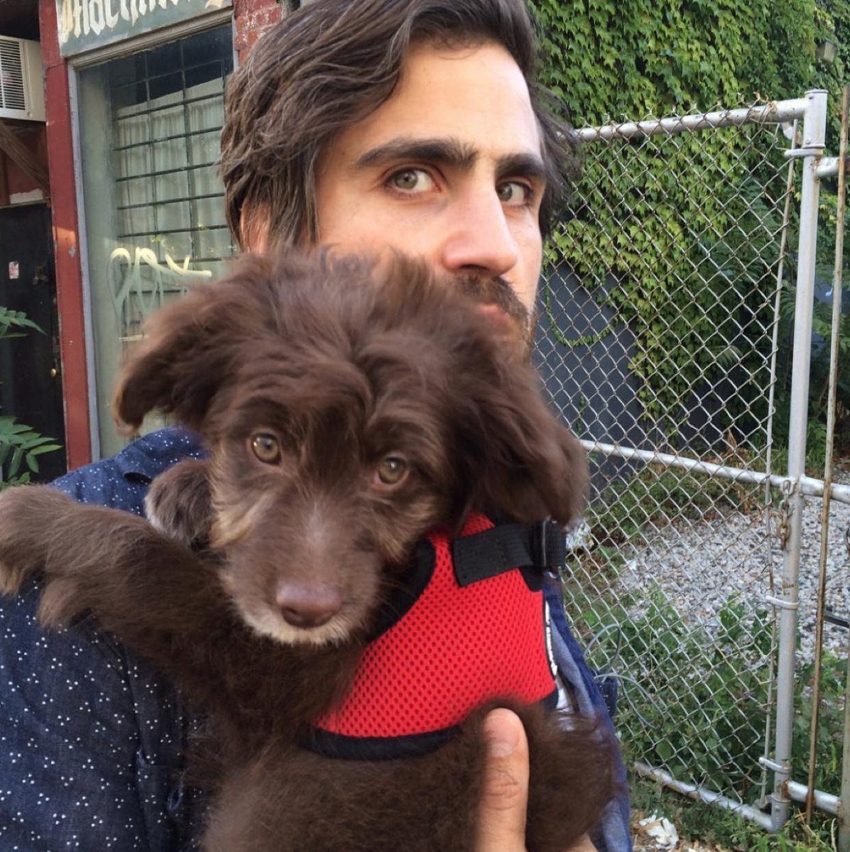 Man with hazel eyes and brown hair looks just like puppy with similar eyes and coat