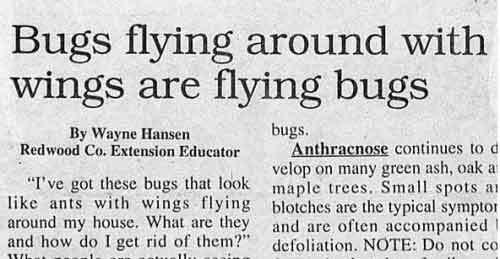 funniest newspaper headlines